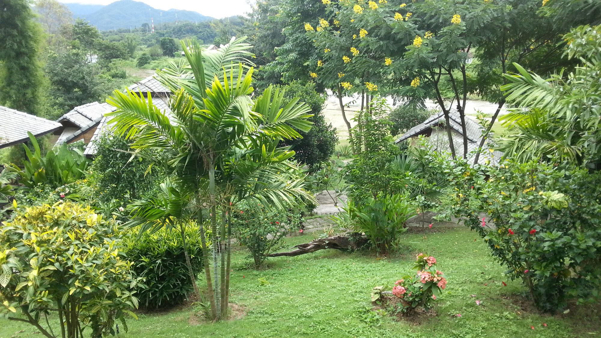 Pai Love & Baan Chonphao Resort Kültér fotó